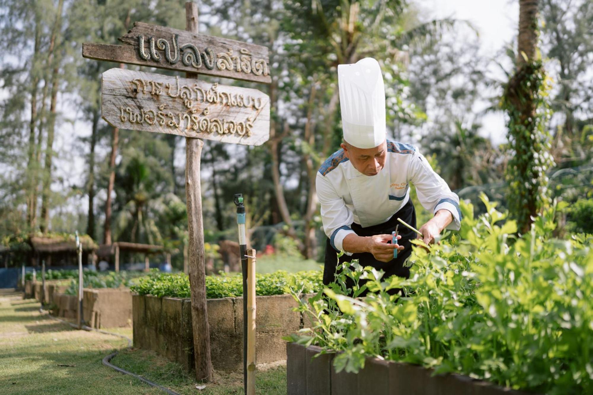 Apsara Beachfront & - Sha Extra Resort
